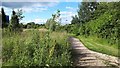 Path on the edge of university campus, Loughborough