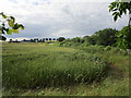 Wheat field by the A15