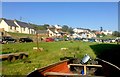 Evening at Porthgain