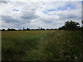 Footpath alongside Ouse Mere Lode