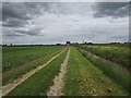 Track to Billingborough Fen pumping station