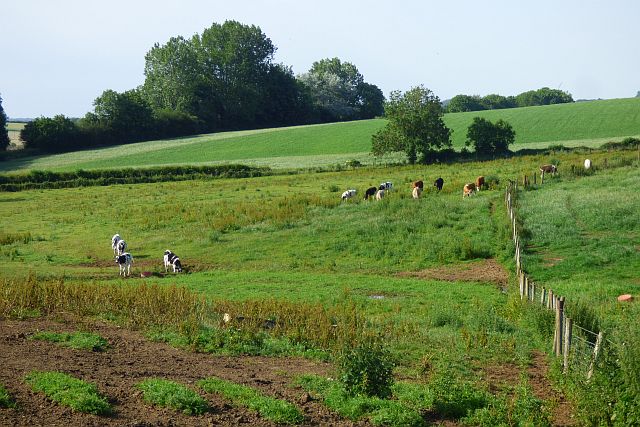 Farmland, Aston le Walls