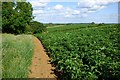 Farmland, Hellidon