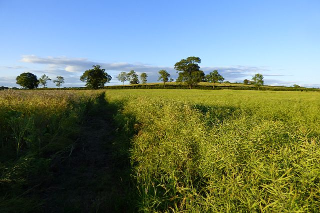 Farmland, Charwelton