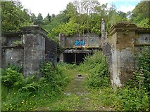 NS3881 : Ruin near Woodbank House by Lairich Rig