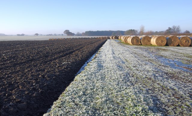 Frost and bales