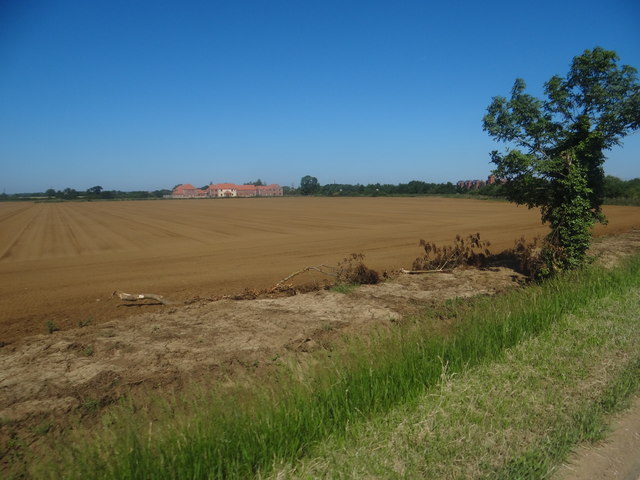 Across the field toward Mareham Lane Farm