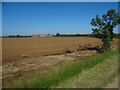 Across the field toward Mareham Lane Farm