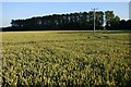 Farmland, Marsh Baldon