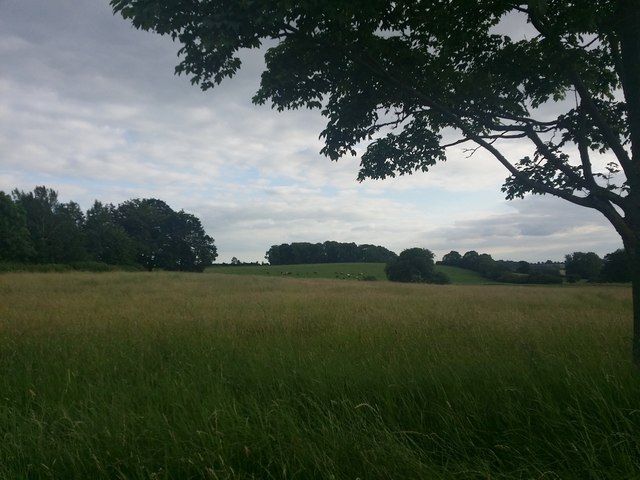 Field by Station Road, Cottesbrooke