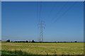 Farmland and power lines off Cadley Lane