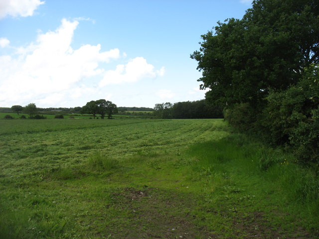 Fields south of Thurstonfield