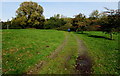 Track towards the River Usk, Llanfaes, Brecon