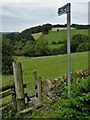 Footpath to Shaw Wood Farm