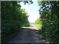 Byway off Ravenstone Road, Ibstock