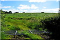 A fallen gate, Cavanamore