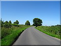 Normanton Lane towards Normanton le Heath