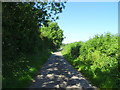 Red Burrow Lane towards Packington