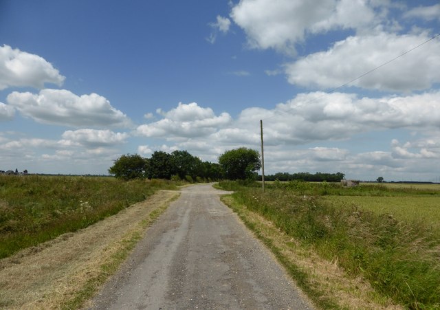 Little Hale Fen © Bob Harvey :: Geograph Britain and Ireland