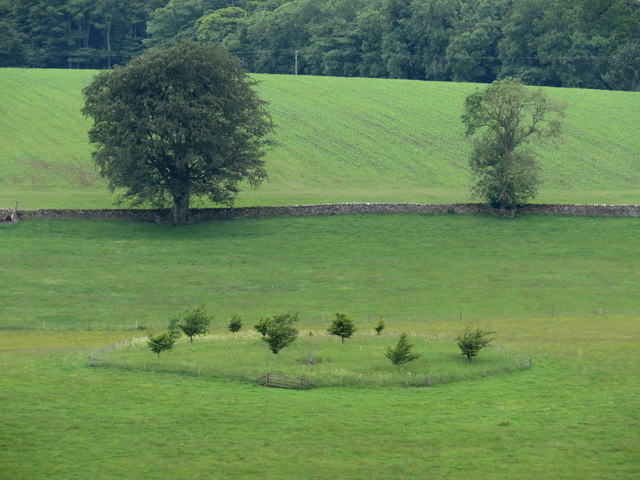 Mystery fenced area in field