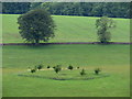 Mystery fenced area in field