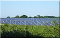 Solar farm off Measham Road