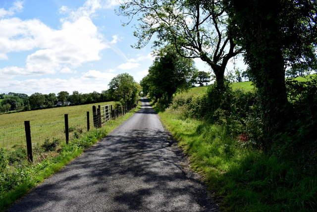 Tree shadows along Castlehill Road © Kenneth Allen :: Geograph Ireland