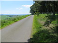 Minor road between farmland and woodland at East Schurroch