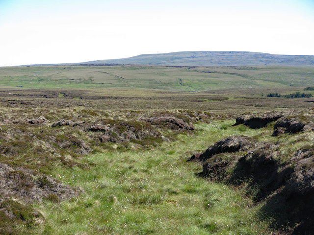 Moorland by Moss Burn © Mike Quinn :: Geograph Britain and Ireland