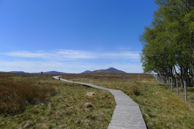 Dubh-lochan trail to the Flows Lookout Tower