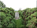 Triangulation pillar at Plover Field