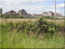 J0608 : The Ath Lethan Housing Estate viewed from the Racecourse Road by Eric Jones