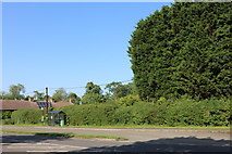 SP8870 : Wellingborough Road, Great Harrowden by David Howard