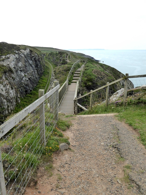 Footbridge on the coastal path