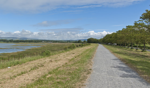Cycleway by the River Lune