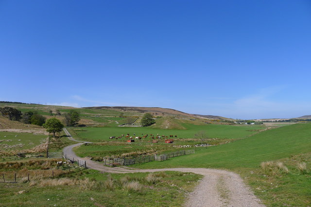 Approaching Kirkton Cemetery from the track and paths from Upper Bighouse