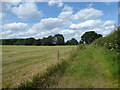 Public bridleway towards Northfield Farm Cottages