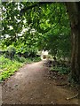 Public footpath within Courage Park, Reading