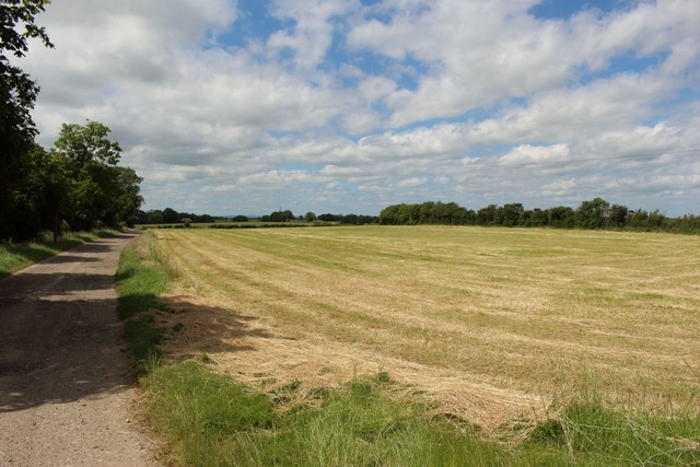 Grass field at Neasless Farm © Graham Robson cc-by-sa/2.0 :: Geograph ...