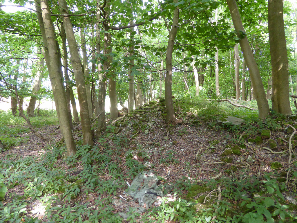 Ruins of Marden Castle © Robin Webster :: Geograph Britain and Ireland