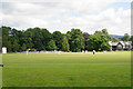 Cricket at Fitz Park