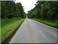 Road approaching Mellerstain House