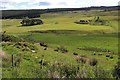 Meadows by Water of Carvie