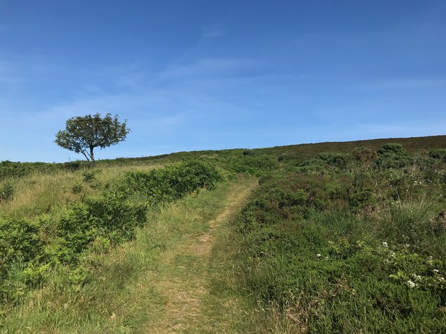 Path to Holdstone Hill summit
