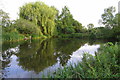 Pond by Station Road