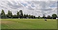 Saffron Walden Cricket Club