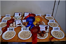 H4374 : Egg entries - 179th Omagh Annual Agricultural Show 2019 by Kenneth  Allen