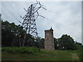 Pylon and folly at Painshill