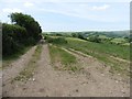 Track on Lower Davis Farm