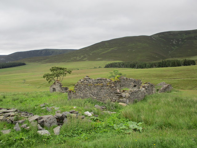 Ruins at Wester Scalan